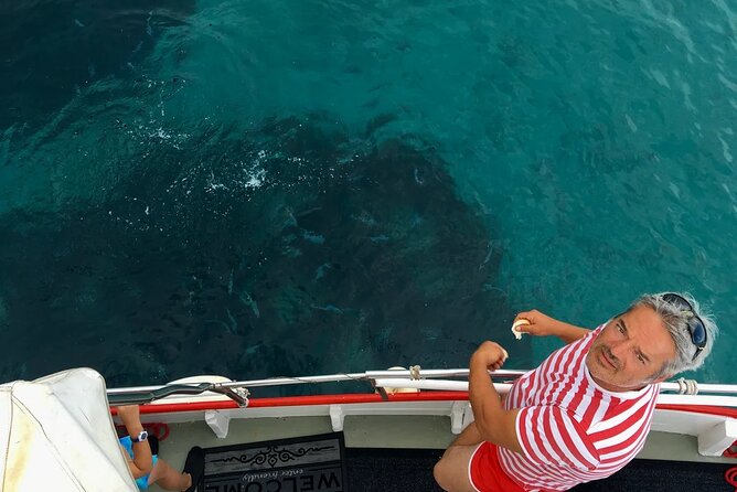 PUBLIC 5,5h Plavnik Island Half-day Boat Trip - Practical Details and Tips