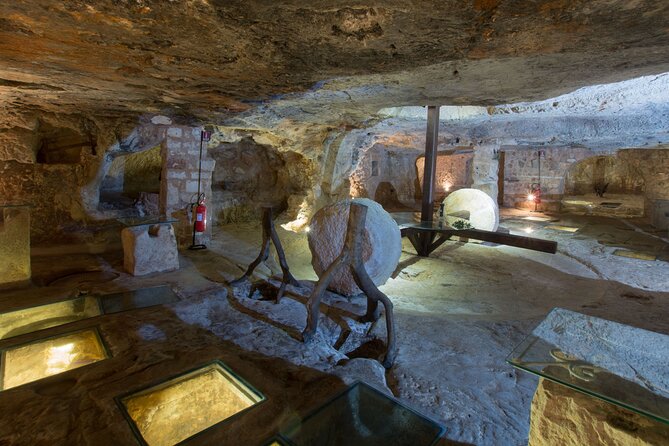 Puglia Olive Oil Tasting Experience with Olive Grove Walk - From Scenic Landscapes to Cultural Stories