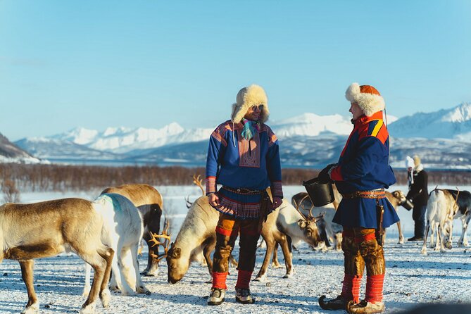 Reindeer Feeding and Sami Culture Afternoon Departure - Who Is This Tour Best For?