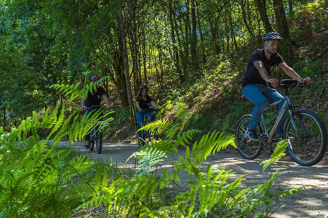 Rent Bikes / E-Bikes - Final Thoughts
