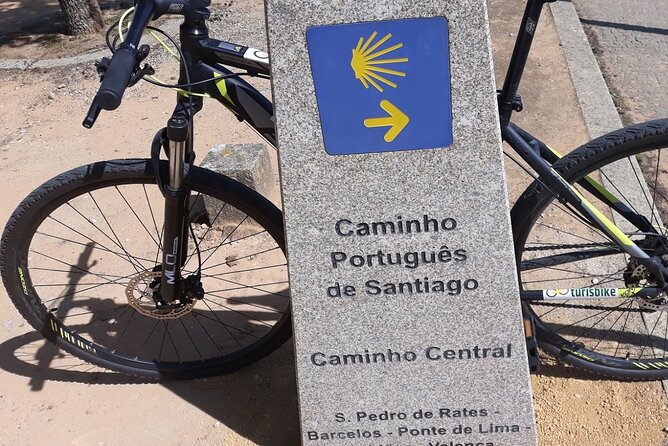 Rent mountain bike for bike path old railway to Famalicão - Highlights: The Monastery of Rates