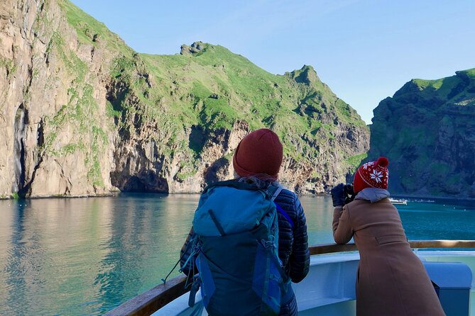 Reykjavik - Westman Islands (Bus transfer to Landeyjahöfn) - The Ferry Experience and Travel Flexibility