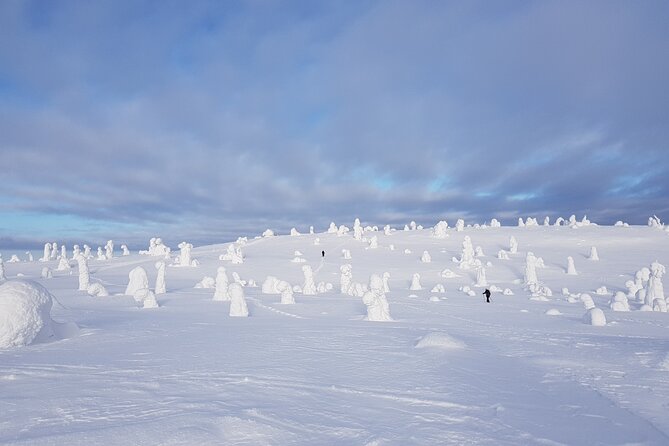 Riisitunturi National Park Snowshoe Experience - The Itinerary: From Forest Trails to Fireside Feasts
