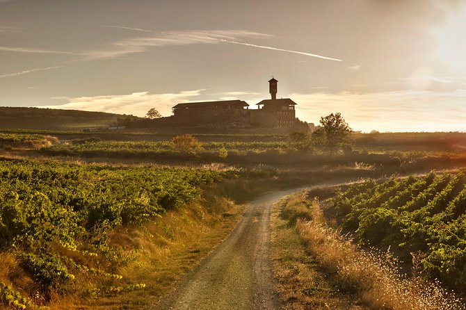 Rioja Wine Tour: Winery & Traditional Lunch From Vitoria - A Traditional La Rioja Lunch