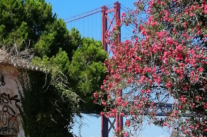 River Tejo South Margin - FAQs