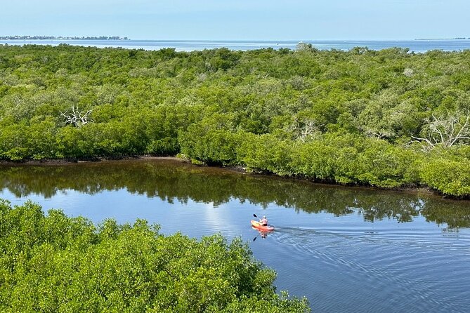 Robinson Preserve Nature Walk Eco Tour - What To Expect During the Tour