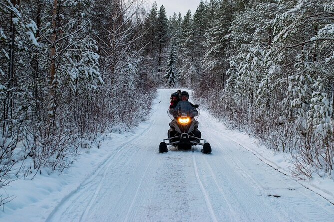 Rovaniemi Snowmobile Adventure & BBQ - 1Hour Drive, Small Group - What’s Included and What Isn’t