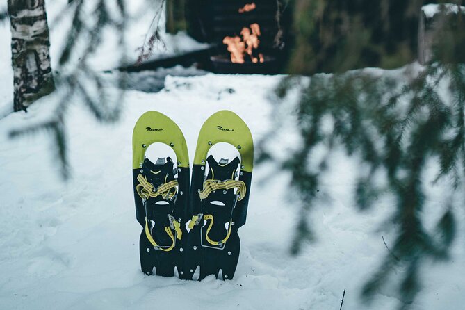 Rovaniemi: Snowshoeing in a magical snowy forest - Why this tour stands out