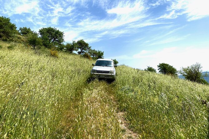 Safari Jeep Wild Adventure - Practical Considerations and Tips