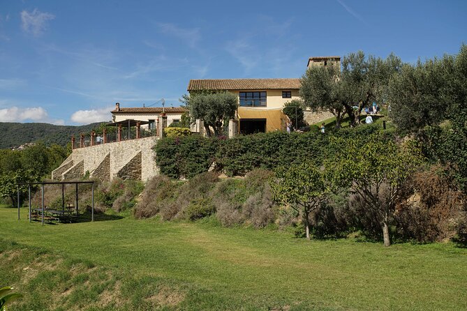 Sailing and Wine Tasting Experience Small Group in Barcelona - Who Is This Tour Best For?