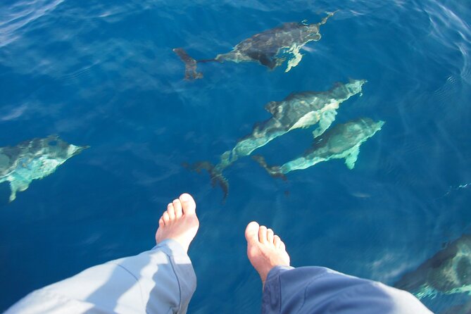 Sailing Boat-always private-always by sail-search for dolphins - Who Will Love This Tour