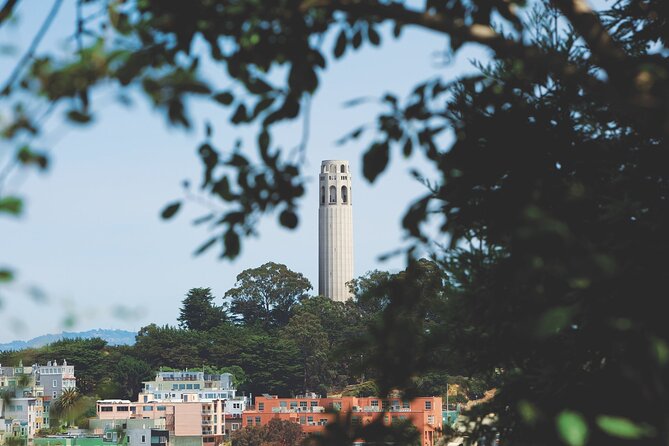 San Francisco: Coit Tower and Little Italy Guided Walking Tour - Final Thoughts: Who Should Book This Tour?