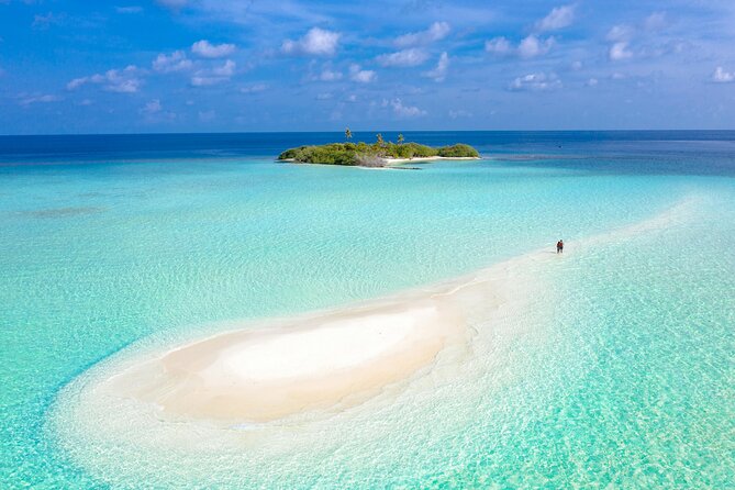 Sandbar Adventure from Key West - An In-Depth Look at the Tour