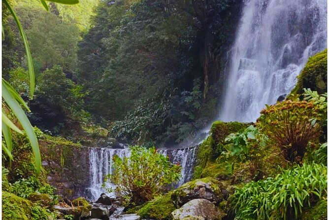 São Miguel: Majestic North Tour (Local Lunch Incl.) - What Makes This Tour Stand Out