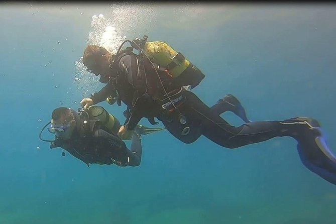 Scuba Diving Experience at Arguineguin and Puerto Rico - The Dive Itinerary and Marine Environment