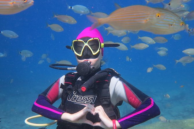 Scuba Diving from Sarigerme - The Itinerary: A Day in the Underwater World