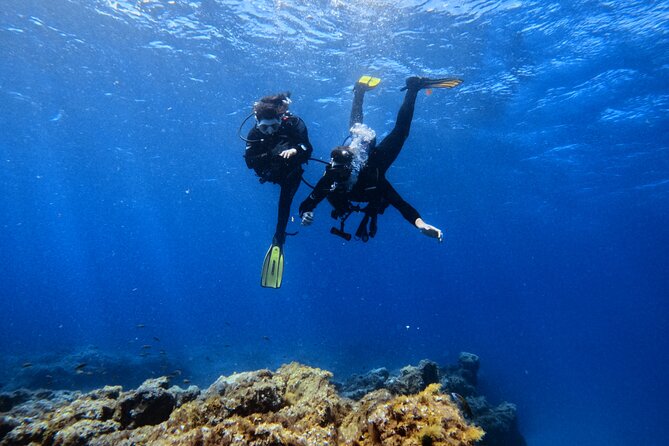Scuba Experience in Tenerife with Guide - The Experience in Action: What Reviewers Say