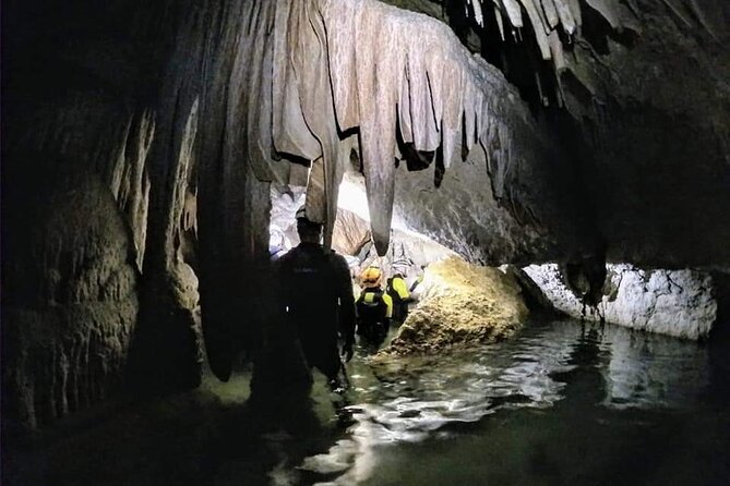 Sea Caving Cova Coloms No Transport - Value and Pricing