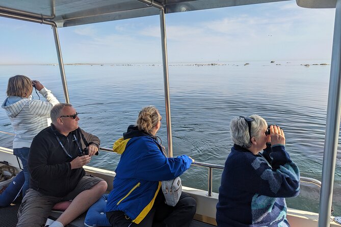 Seal-Watching Tour near Malusi Islands - What’s Included and What’s Not