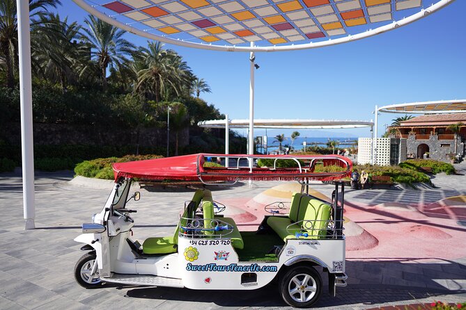 Secret Volcano Tour by Tuk Tuk in Costa Adeje - What Makes This Tour Stand Out?