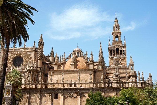 Seville Tour with Alcazar, Cathedral and Giralda from Granada - The Journey from Granada to Seville