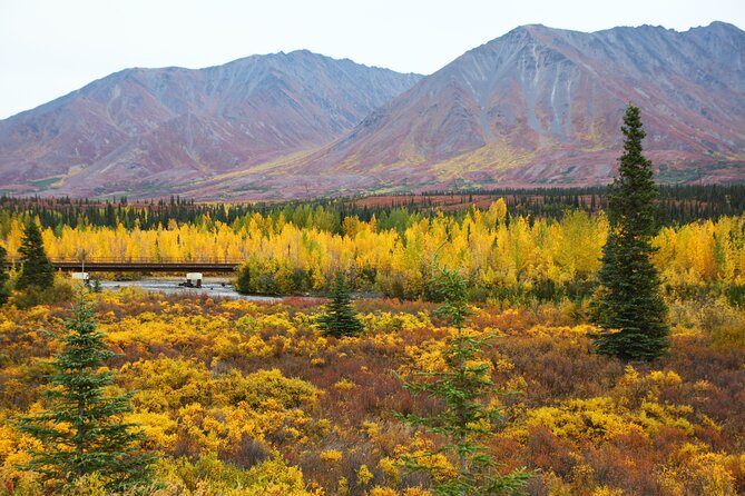 Shared Denali National Park Entrance to Fairbanks Transport - Who Is This Tour Best For?