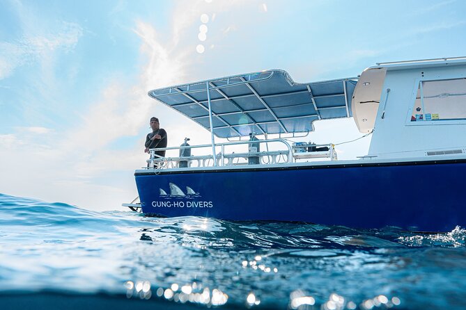 Shark Snorkeling Experience in South Florida - Who Should Consider This Tour?