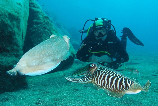 Single Dive for qualified divers from shore, region Puerto del Carmen. - Why Travelers Trust Euro-Divers Lanzarote