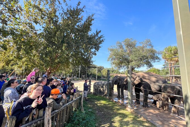 Skip The Line Houston Zoo Admission Ticket - The Itinerary Breakdown: What to Expect