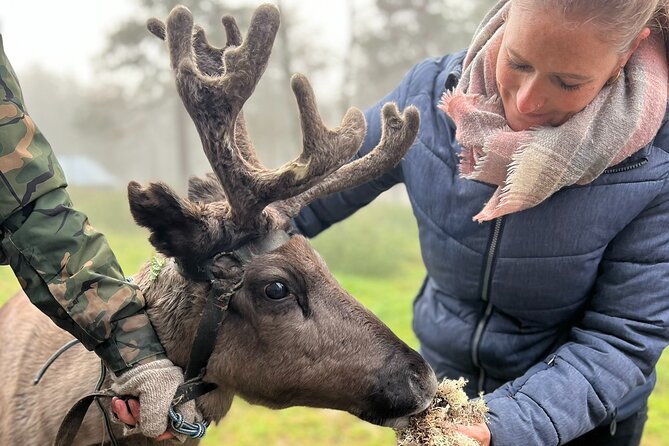 Small Group Fishing, Lunch& Reindeer Farm Visit in the Wilderness - The Value of this Tour