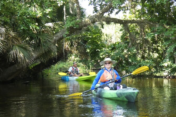 Small Group Scenic Wekiva River Kayak Tour near Orlando - What Travelers Are Saying