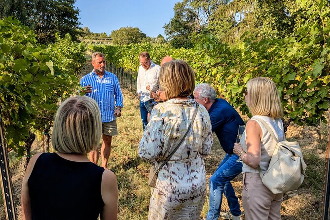 Small-group Vienna Wine Tour - Detailed Itinerary Breakdown