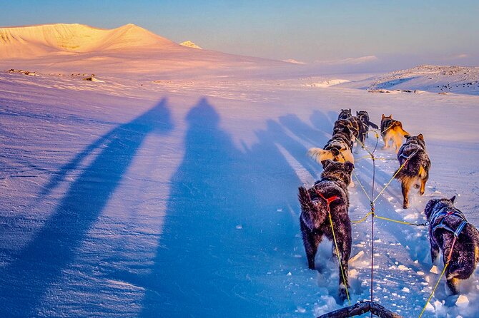 Small Group Wilderness Husky Sledding 2h from Tromsø (car needed) - Who Will Love This Experience?
