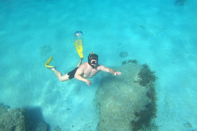 snorkeling ,Turtle Watching in Cyprus - Analyzing the Value: Is It Worth It?