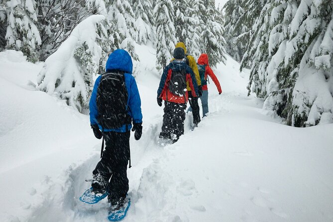 Snowshoeing tour with Wild Lunch - In-Depth Tour Breakdown