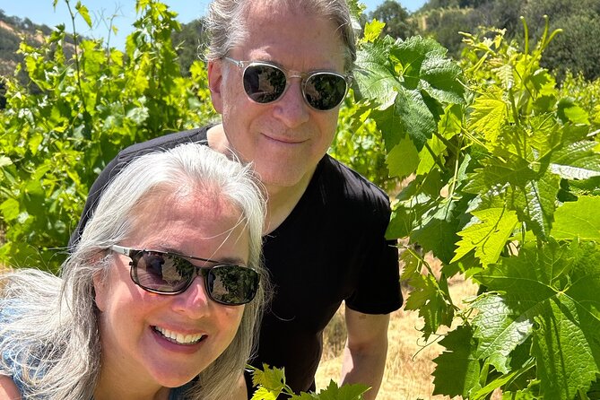 Sonoma Trike and Hike - 3 hour guided tour - Who Will Love This Tour?