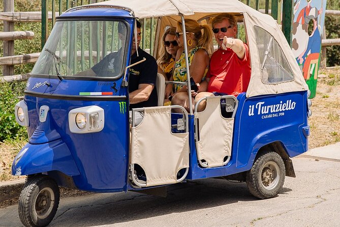 Sorrento Ape Tour, Lemon Garden, Mozzarella Show & Pizza Class - What Reviewers Say