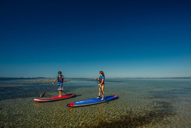 Stand-up-paddle on Laguna of Thau, rental, Sete - The Meeting Point and Accessibility