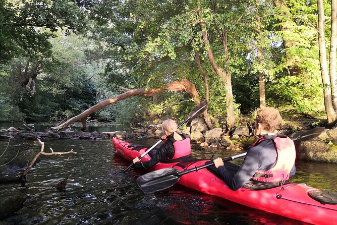 Stockholm Evening Kayak with BBQ - Small Group - Good To Know