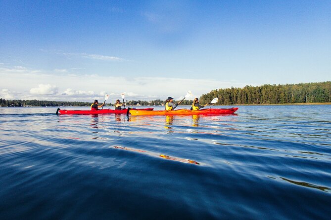 Stockholm: Kayaking tour around Vaxholm Archipelago with Fika - What’s Included and What to Consider