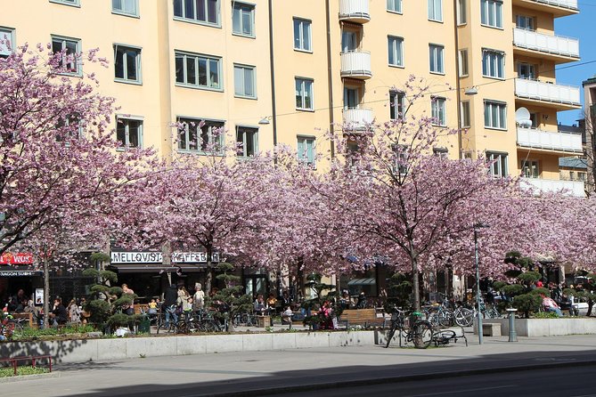 Stockholm Tour with a Local: Explore Hip And Bohemian Sodermalm - Who Will Love This Tour?