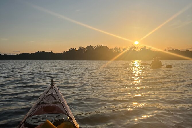 Sunset Kayak Tour in the Stockholm Archipelago + Swedish Fika - The Experience: How It Feels and Why It Matters