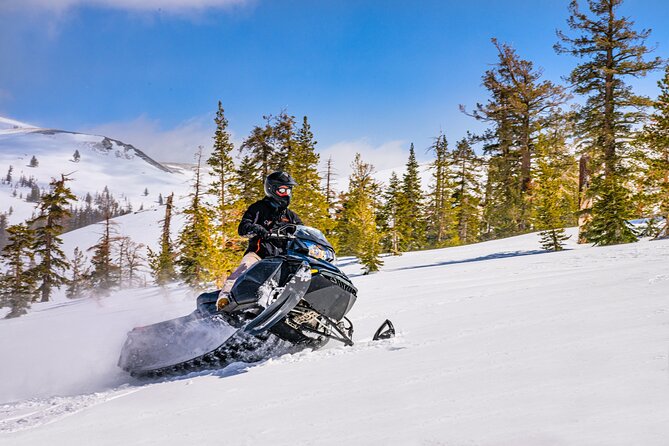 Tahoe Snowmobiling Tours - Authentic Insights from Reviewers