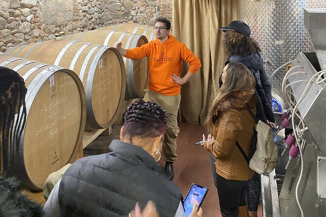 Tasting in a Tuscan Vineyard with transfer from Pisa - Pricing and Value