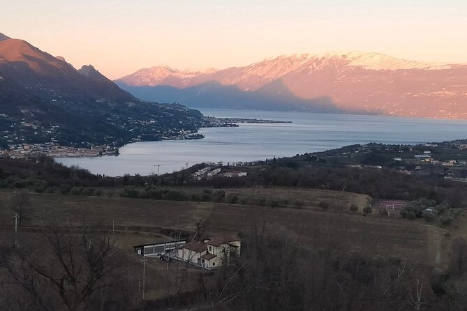 Tasting of 4 Valtenesi wines with local food in Salò - What Makes This Tour Stand Out?