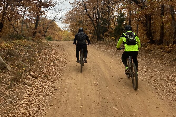 Thessaloniki E-bike Mountain Adventure Tour - Authentic Experiences from Review Insights
