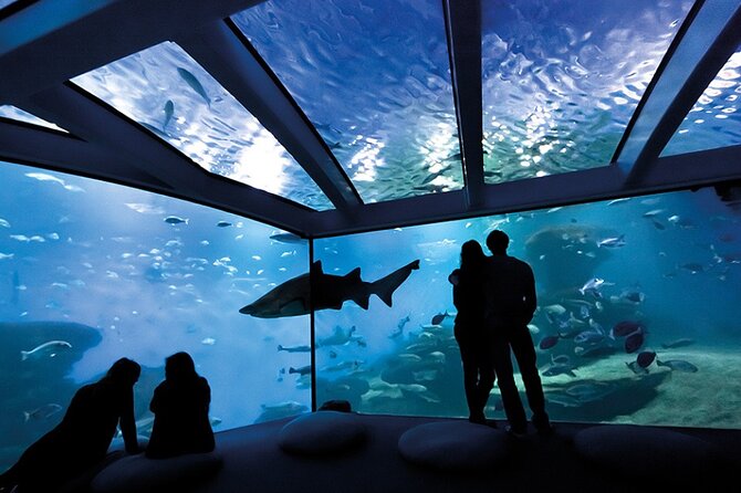 Ticket Palma Aquarium - Who Should Visit Palma Aquarium?