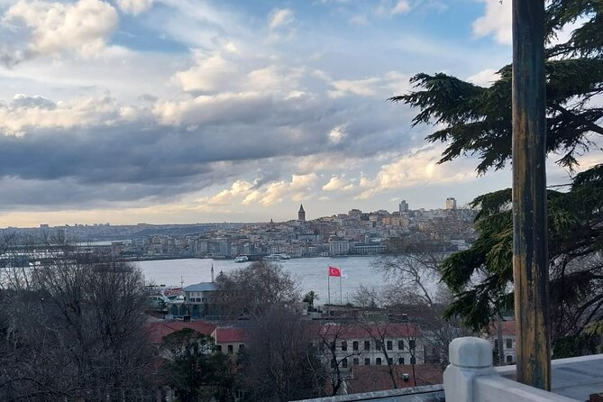 Topkapi Palace with Harem Walking Tour with Guide - Who Will Love This Tour?