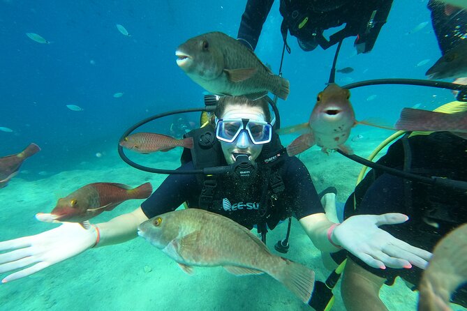 Tour in Alanya with Lunch and Guided Scuba Dives from Side - What’s Included and What to Keep in Mind