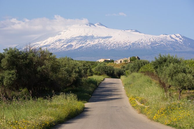 Tour of the Etna cellars, typical lunch and wine tasting - Practical Details and What You Can Expect